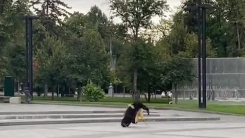 Escaped Ukraine zoo chimp returns home on bike after it starts raining