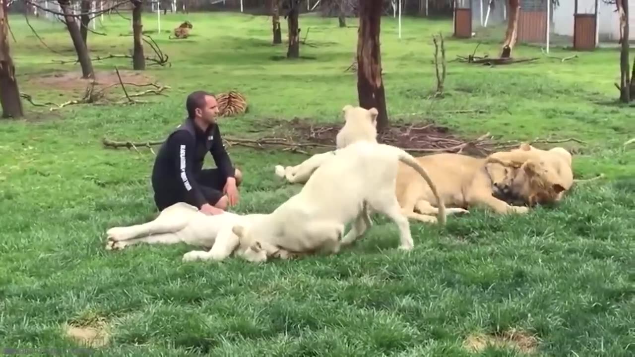 Animal HEROES Protecting Their Owners