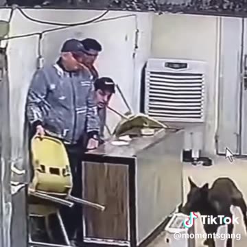 partners-house-173801