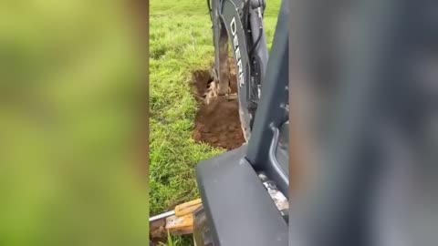 Workers Discover A Cow Stuck UNDERGROUND 😳 🐄