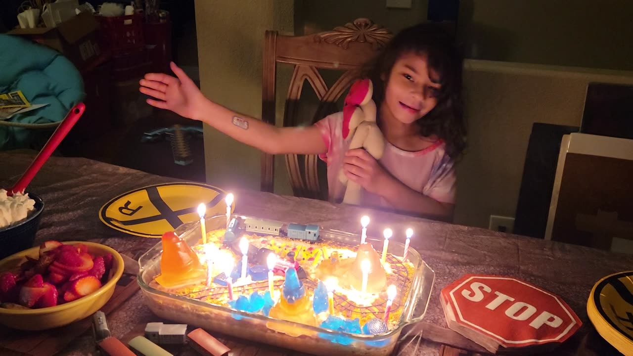 Ariana birthday 2023