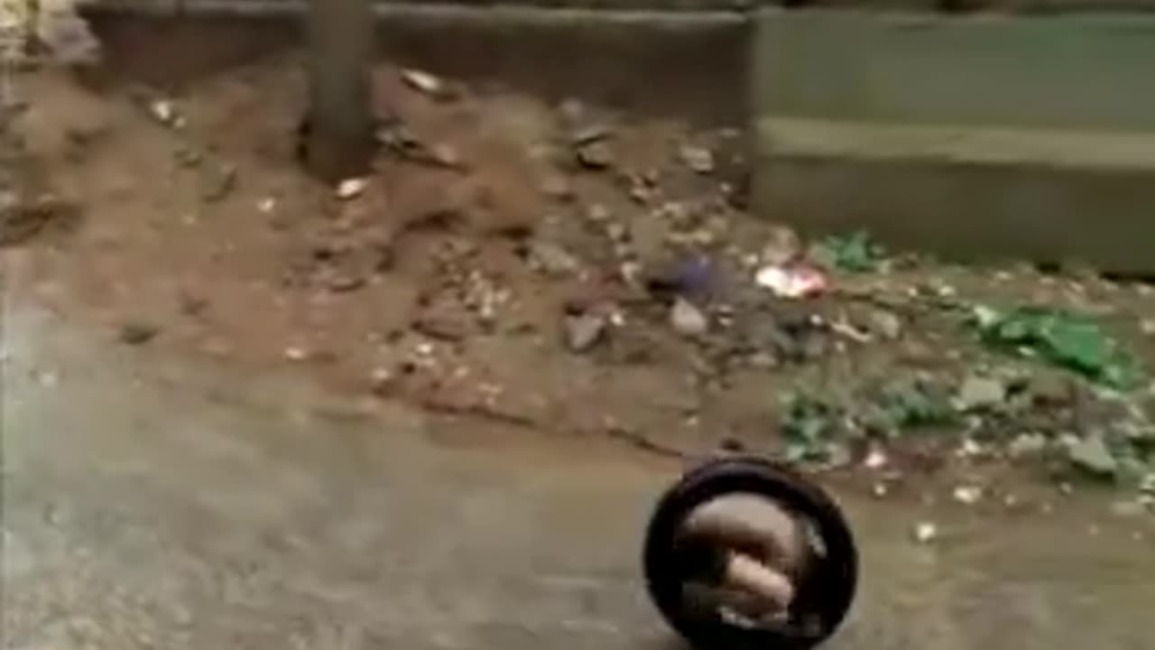 Fun Video With Tyre