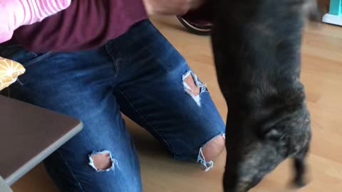 He Could Do This for Hours