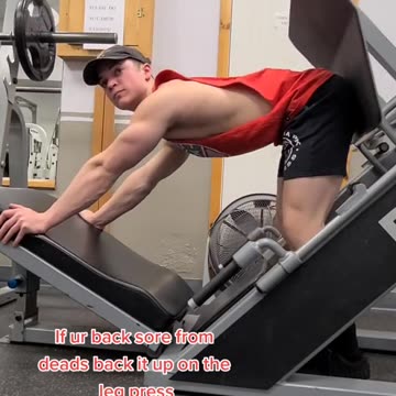 Best exercise for lower back pain