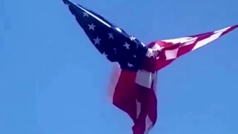 AMERICA WAS MY GUARDIAN ANGEL ALL ALONG!!!🇺🇸