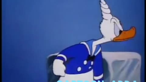 Donald Duck P2