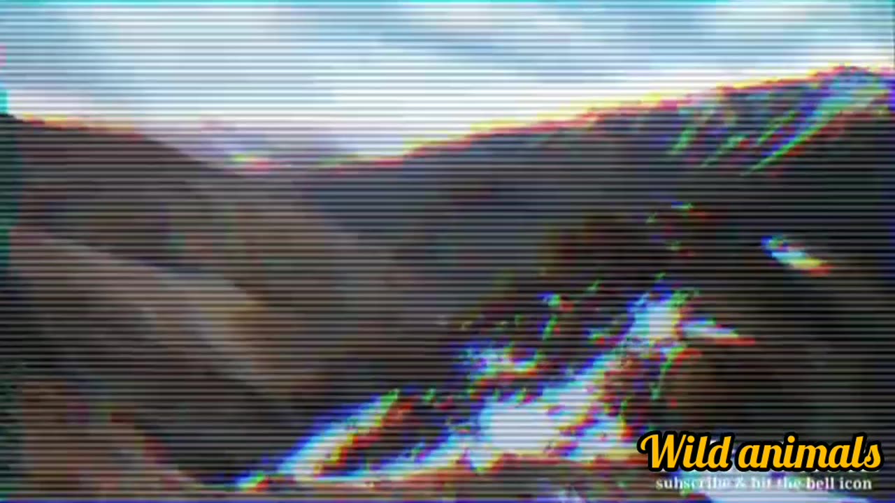 Wild animals