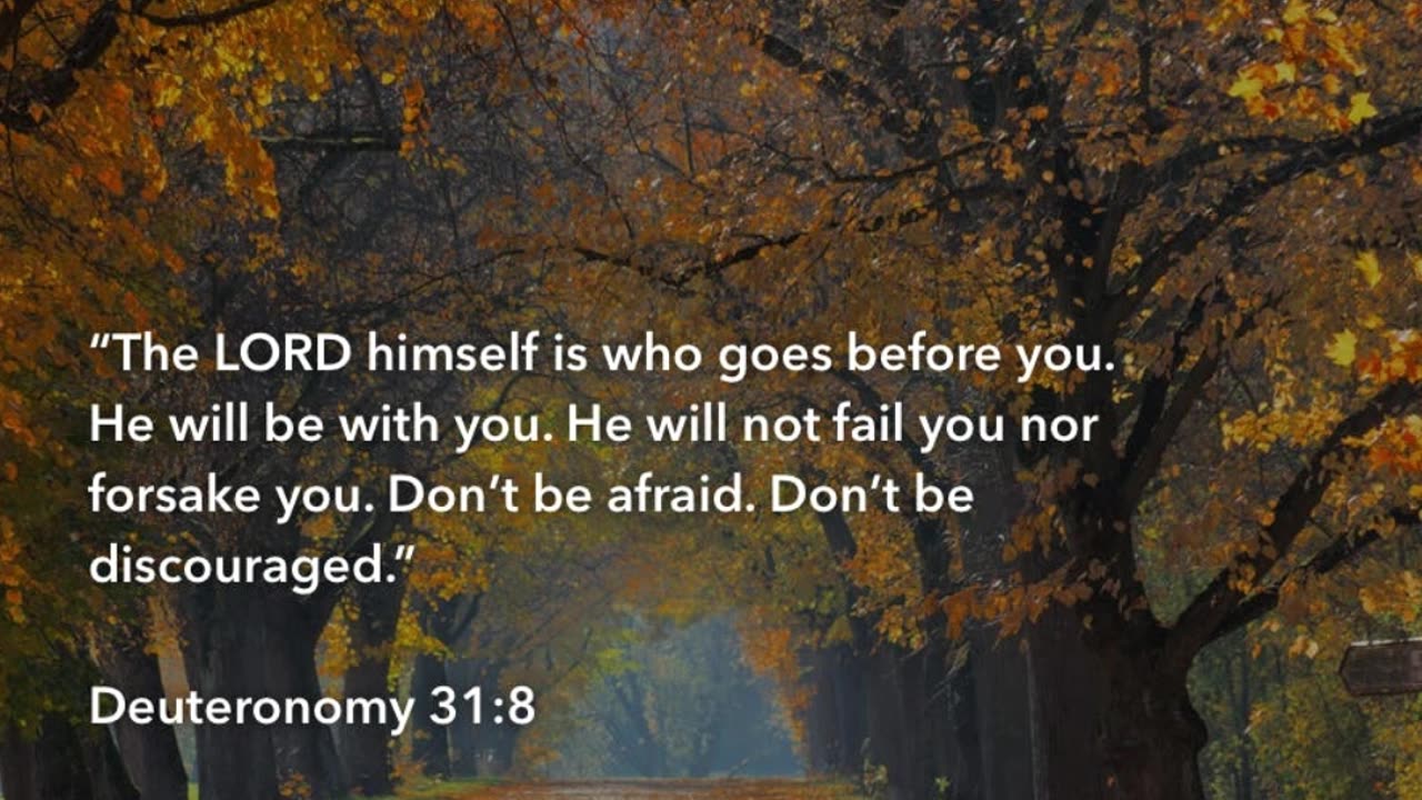 Nighttime Prayer Against Fear #youtubeshorts #grace #jesus #mercy #faith #fyp #blessed #trust #love