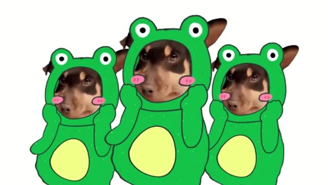 Send it to those around you who need it. Qixi Grievance Frog