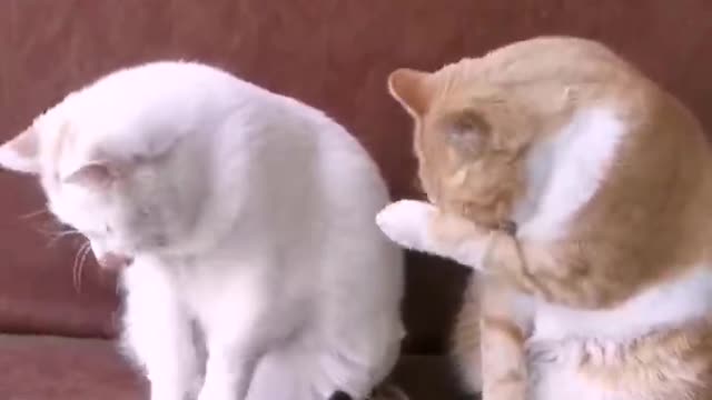 This is love...