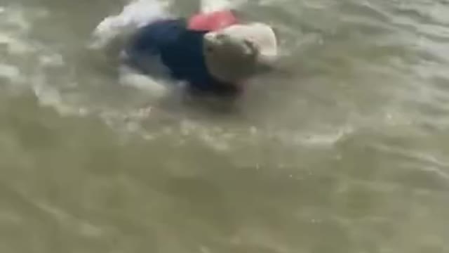 Daily Dose of Fails