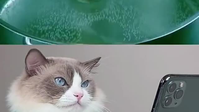 Uh… Maybe it’s time to consider doing something else Cooking is hard…