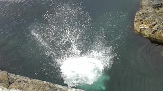 jump into ocean