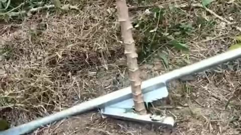 Amazing video | awesome video | satisfying videos | #amazing #awesome #viral
