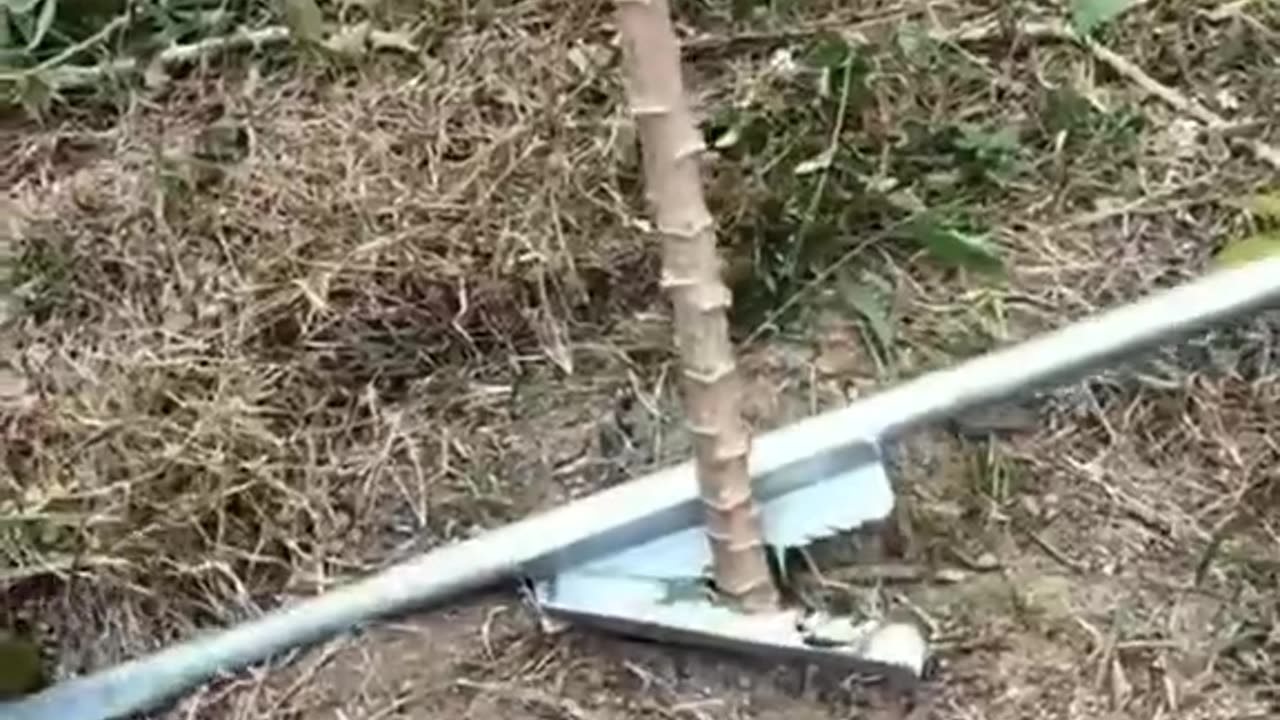 Amazing video | awesome video | satisfying videos | #amazing #awesome #viral
