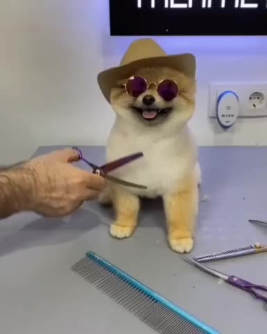 Going to church gotta look awesome 😎👍