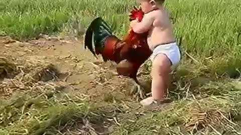 Child Hold Cock to Ransome lol