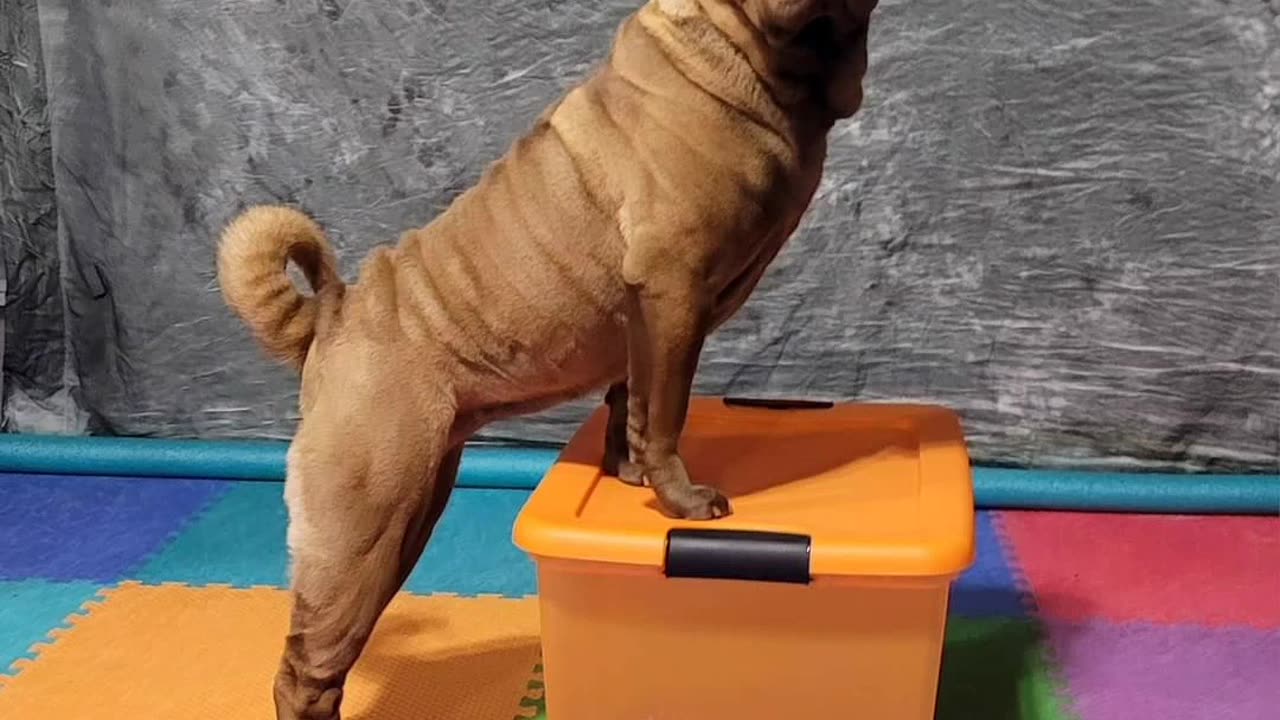 Aurora's April 2023 photo challenge