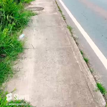 New beginnings #shorts