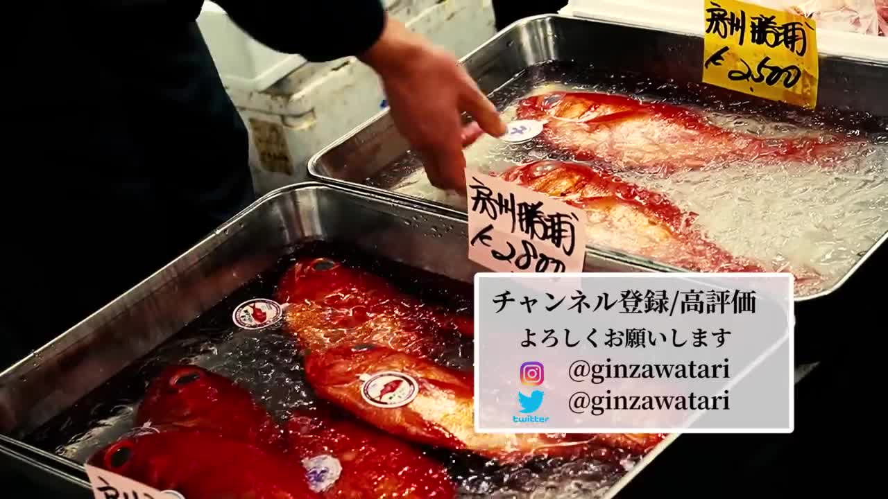 🇯🇵 【板前が教える】意外と知らない？マグロの筋の切り方【刺身の切り方/引き方】Japan's sushi king pays record price for bluefin tuna l Al Jazeera English