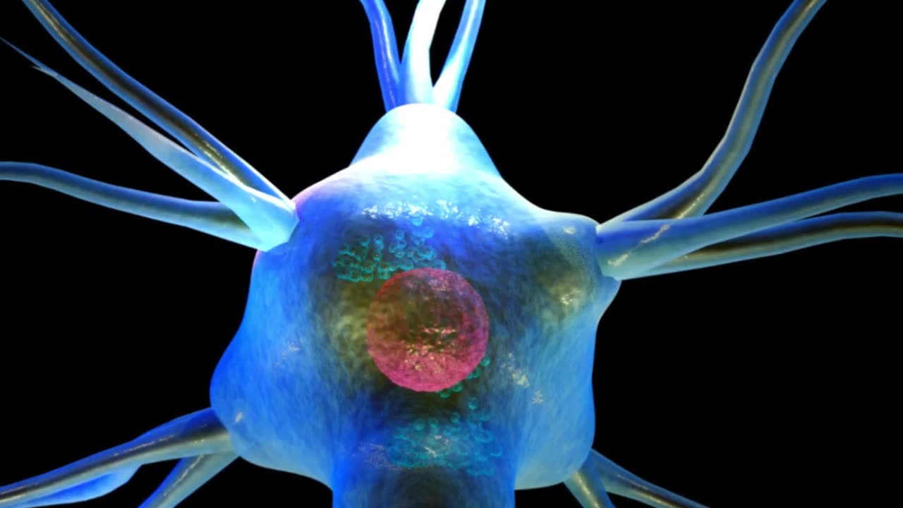 Your BRAIN Treats REJECTION Like Physical PAIN