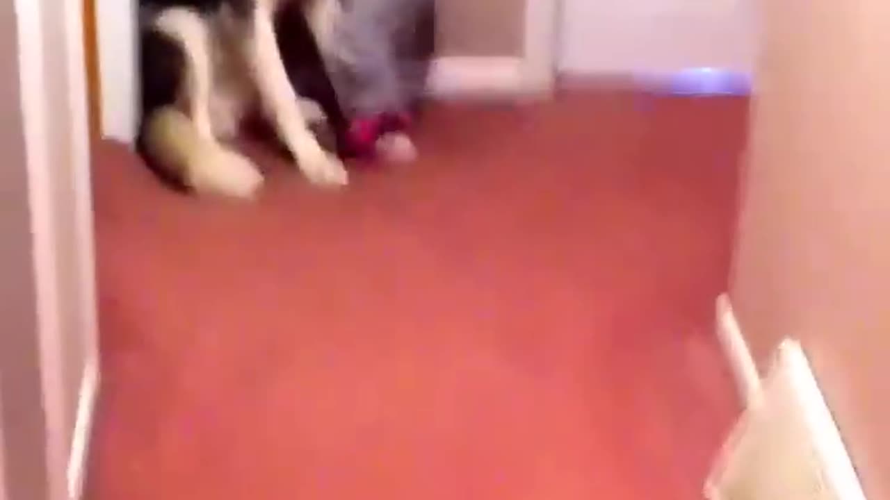 Baby scared of vacuum runs to dog for protection