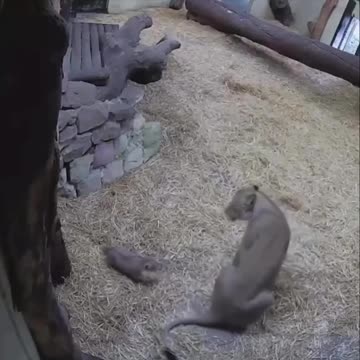 You startled your mom sweetie 😂😂😂😂😂