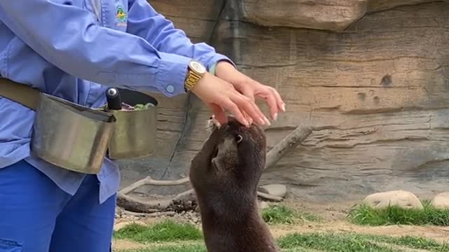 Safari park