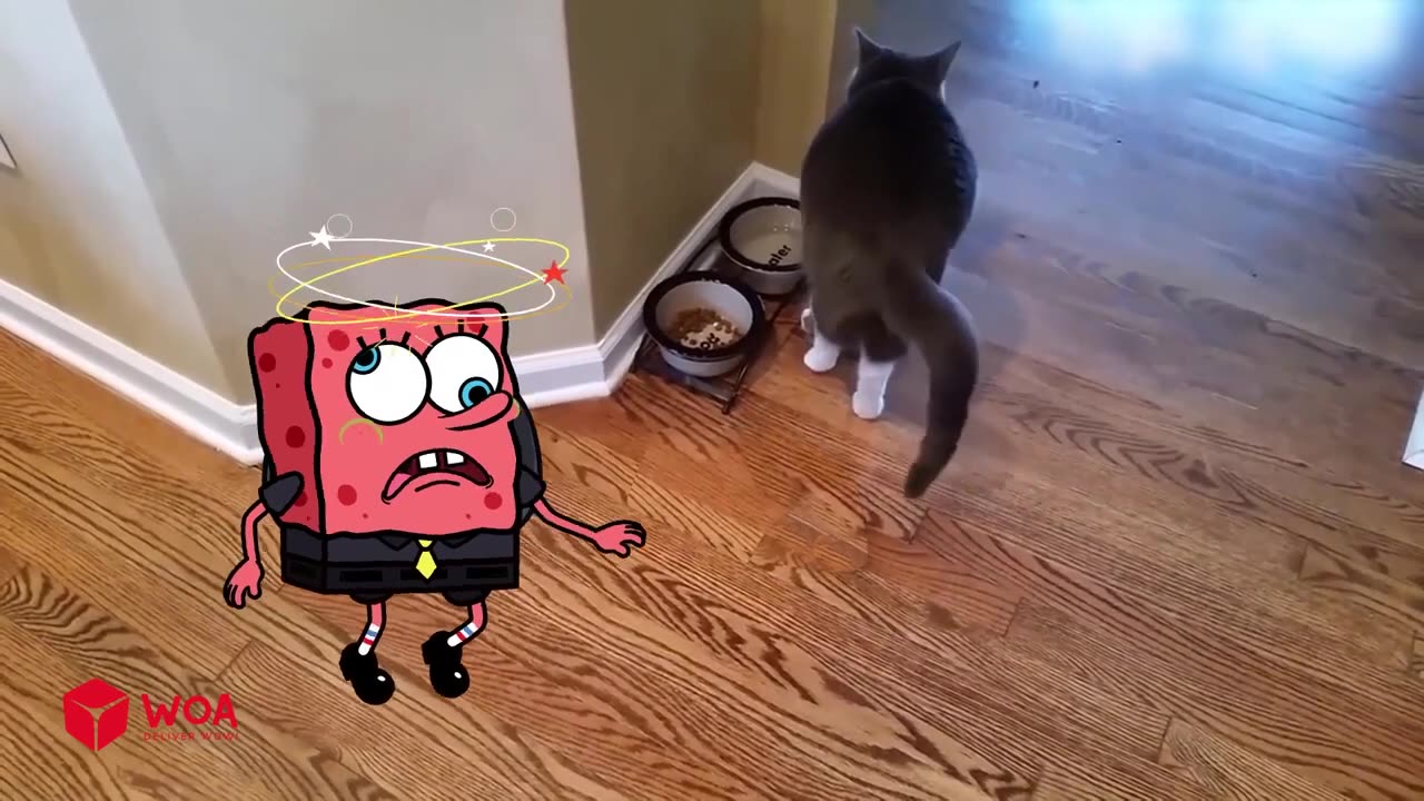 Spongebob Rides a Crazy Dog _ Funny Cats and Dogs Videos _ Woa Doodles