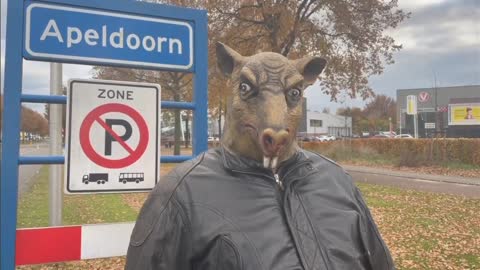 DE RAT EN DE ZAAK APELDOORN