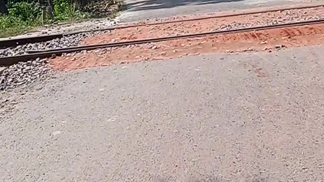 Train
