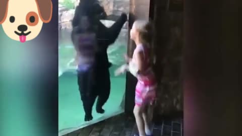Funny kids video