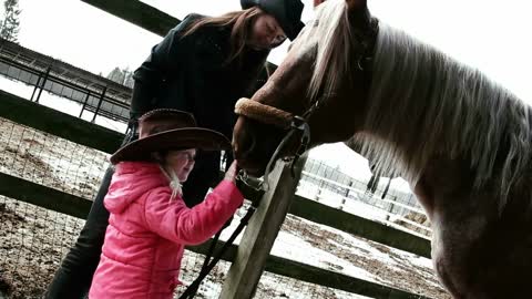 little girl in a cowboy hat petting horse