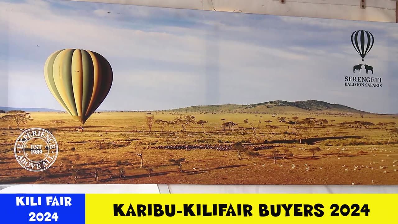 Serengeti Baloon