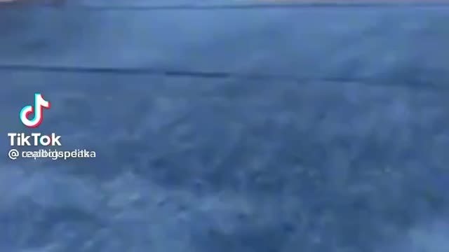 You Cannot Trust Everything or Everyone