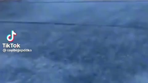 You Cannot Trust Everything or Everyone