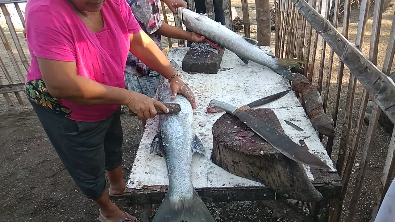 Barracuda fish descaling