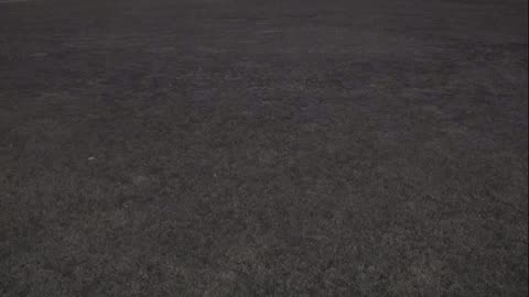 7231USCG00EastFrontHouseEgg_2021-01-05_19h39min40s467ms.mp4