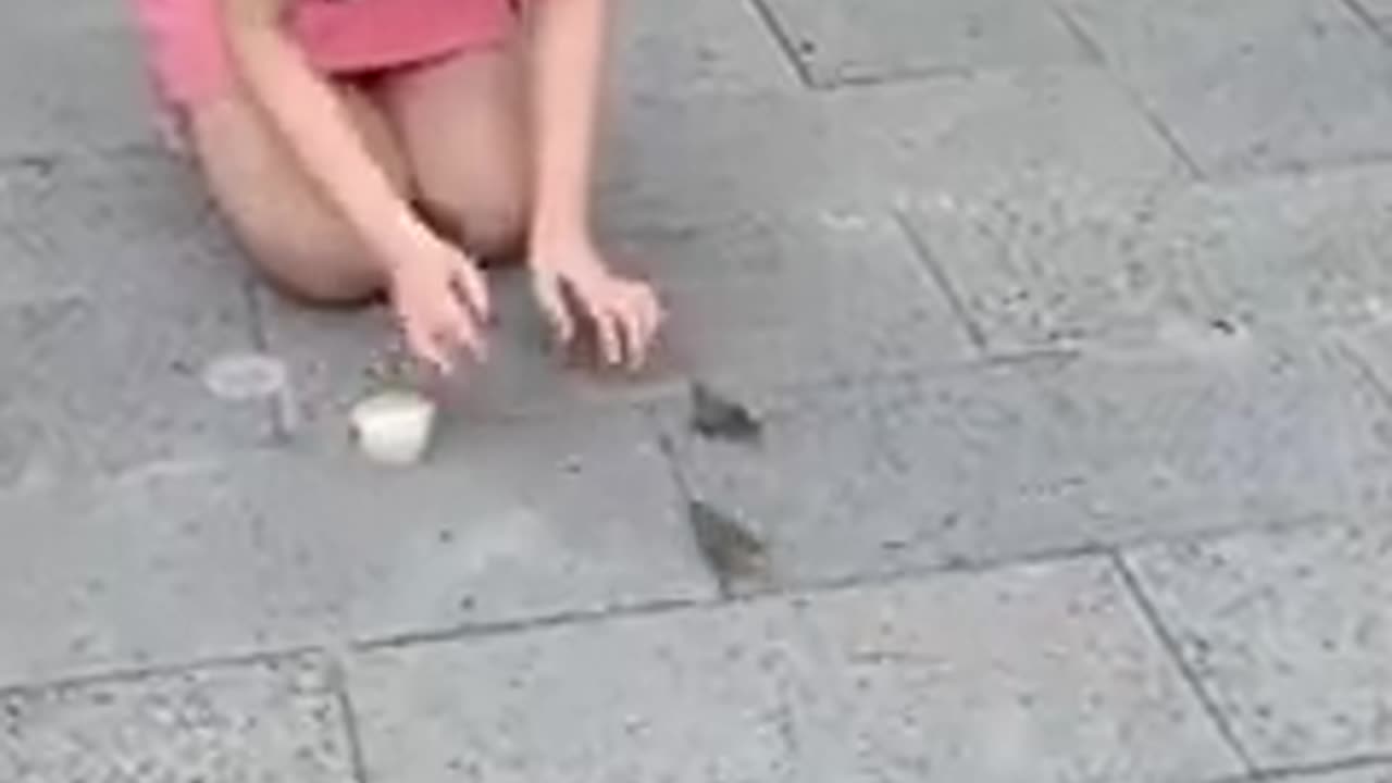 Funny moments of cuteness animals