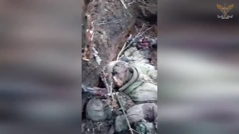 +18 Disturbing Video showing dead and wounded