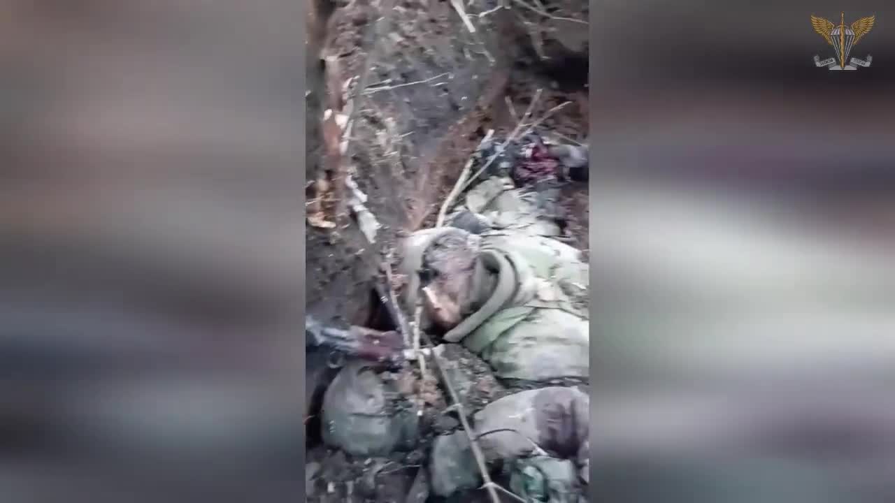+18 Disturbing Video showing dead and wounded