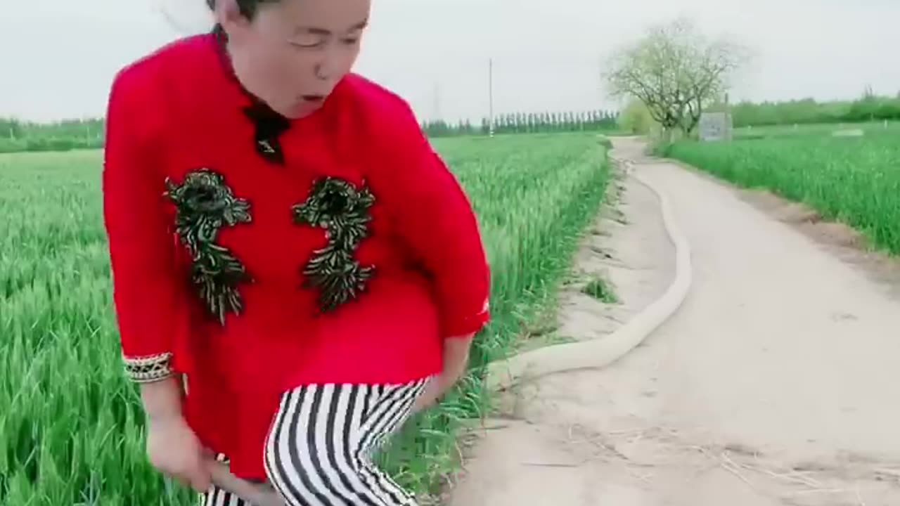 Best Funny Videos 2022, Chinese Funny clips daily #shorts