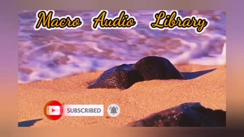 Relaxing Music | Sleeping, Meditation, Stress Relief | [6425] ⭐️