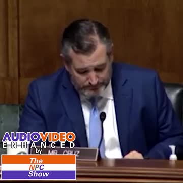 Dummycrats Abuse Jim Crow Laws To Stay In Power 🟠⚪🟣The NPC Show