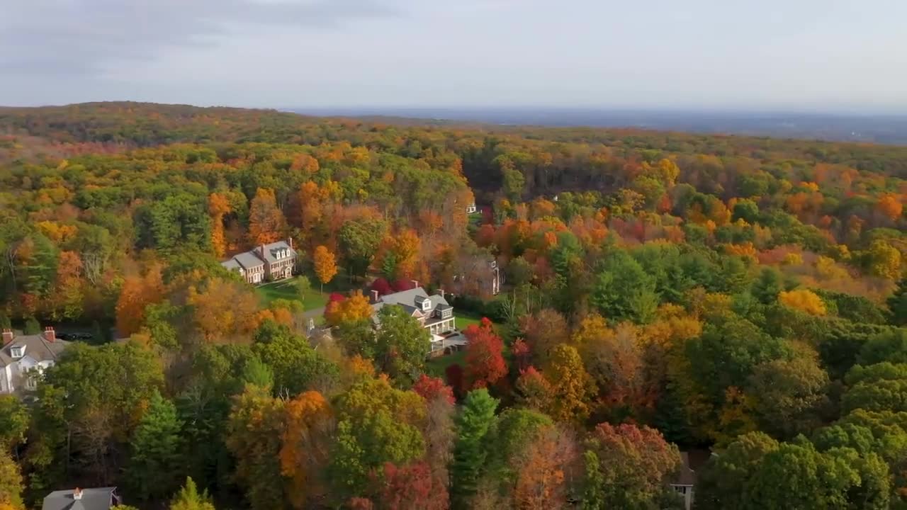 Enchanting Autumn Forests with Beautiful Piano Music