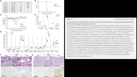 Lethal Infection Of Human ACE2-Transgenic Mice SARS-CoV-2-Related Pangolin Coronavirus