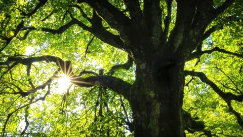 The Most Deeply Occulted Information On Earth