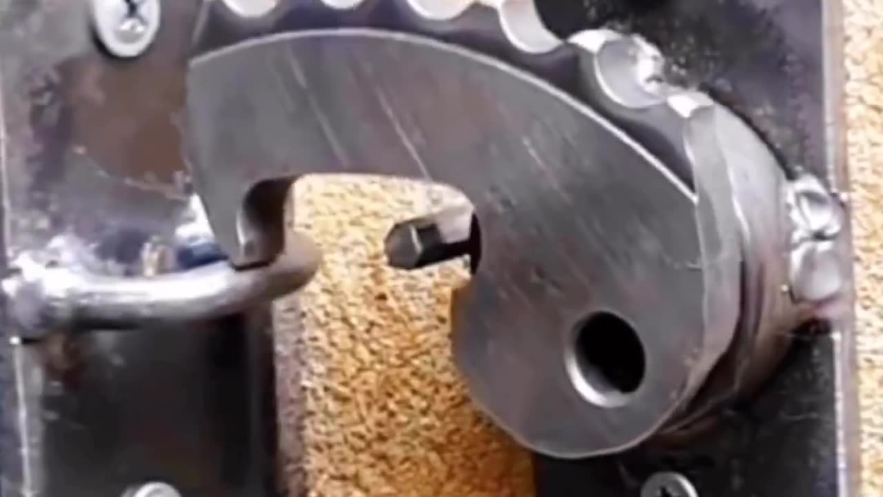 CRC vídeos curiosos