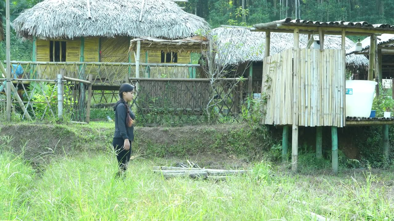 Unique dish from soil and chicken - clearing grass on the farm to grow vegetables