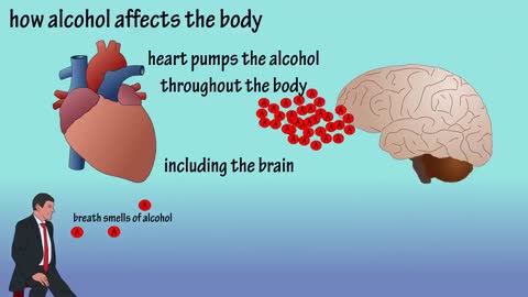 Alcohol - How Alcohol Affects The Body - What Causes A Hangover